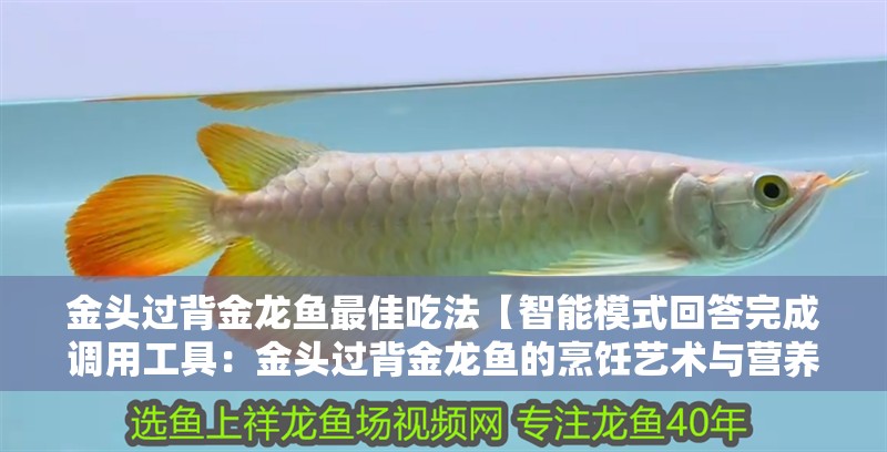 虎魚天天黑來點赤瞳黃金 金頭過背金龍魚最佳吃法【智能模式回答完成調用工具:金頭過背金龍魚的烹飪藝術與營養探索】 龍魚論壇 金頭過背金龍魚最佳吃法【智能模式回答完成調用工具:金頭過背金龍魚的烹飪藝術與營養探索】 金頭過背金龍魚最佳吃法【智能模式回答完成調用工具:金頭過背金龍魚的烹飪藝術與營養探索】 龍魚論壇
