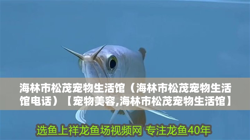 <strong><mark>海林</mark></strong>市松茂寵物生活館（<strong><mark>海林</mark></strong>市松茂寵物生活館電話）【寵物美容,<strong><mark>海林</mark></strong>市松茂寵物生活館】