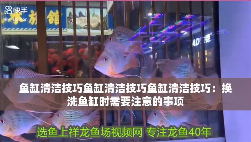 魚缸清潔技巧魚缸清潔技巧魚缸清潔技巧：換洗魚缸時需要注意的事項