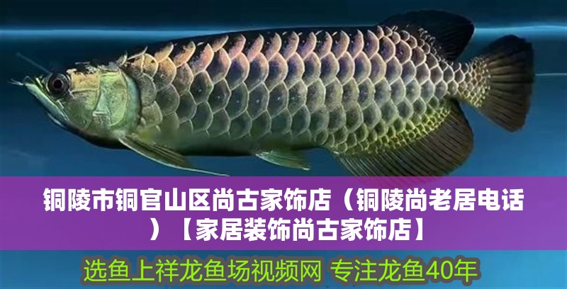 銅陵市銅官山區尚古家飾店（銅陵尚老居電話）【家居裝飾尚古家飾店】