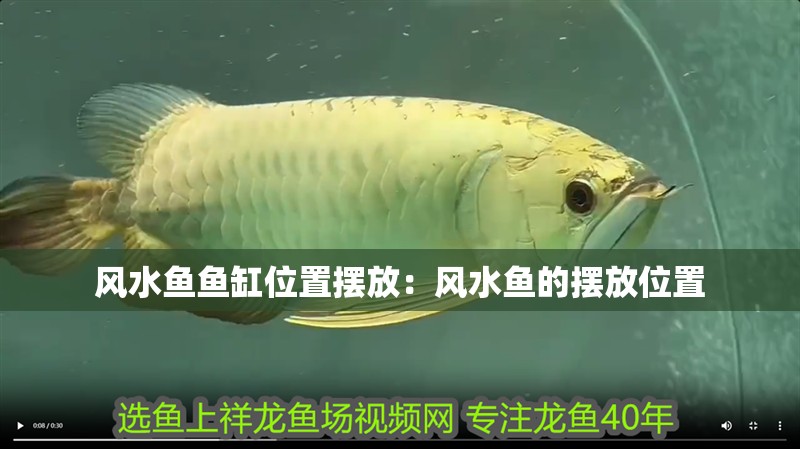 風(fēng)水魚魚缸位置擺放：風(fēng)水魚的擺放位置