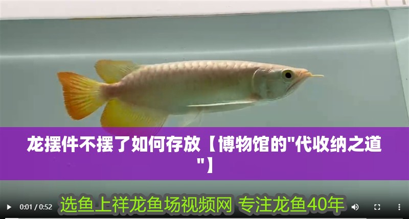 龍擺件不擺了如何存放【博物館的