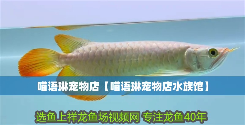 喵語琳寵物店【喵語琳寵物店水族館】