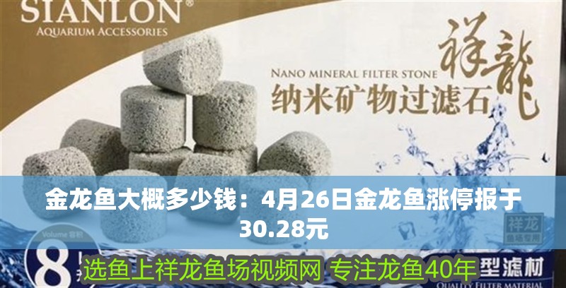 金龍魚大概多少錢：4月26日金龍魚漲停報于30.28元