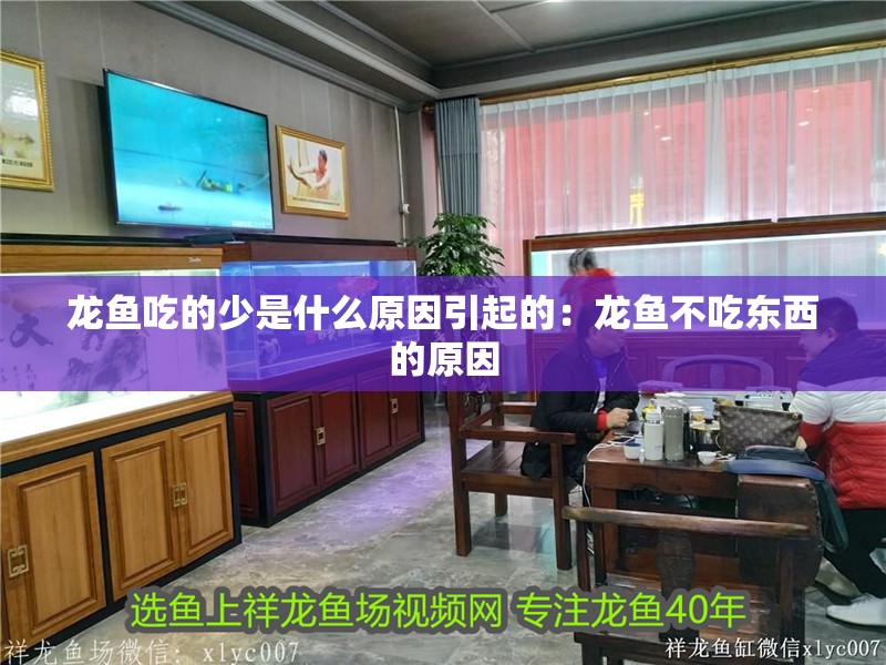 龍魚吃的少是什么原因引起的：龍魚不吃東西的原因