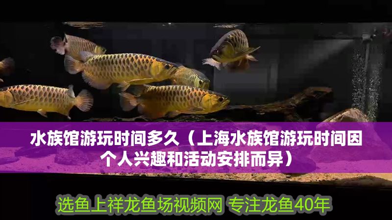 水族館游玩時間多久（上海水族館游玩時間因個人興趣和活動安排而異）