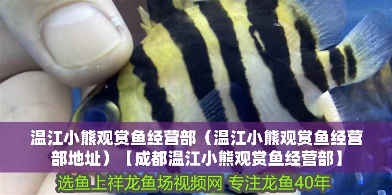 溫江小熊觀賞魚經營部（溫江小熊觀賞魚經營部地址）【<strong><mark>成都</mark></strong>溫江小熊觀賞魚經營部】