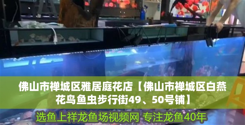 魚缸用增氧泵價格是多少:魚缸增氧機-xtrac增氧機-xtrac增氧機 佛山市禪城區(qū)雅居庭花店【佛山市禪城區(qū)白燕花鳥魚蟲步行街49、50號鋪】 全國水族館企業(yè)名錄 佛山市禪城區(qū)雅居庭花店【佛山市禪城區(qū)白燕花鳥魚蟲步行街49、50號鋪】 佛山市禪城區(qū)雅居庭花店【佛山市禪城區(qū)白燕花鳥魚蟲步行街49、50號鋪】 全國水族館企業(yè)名錄