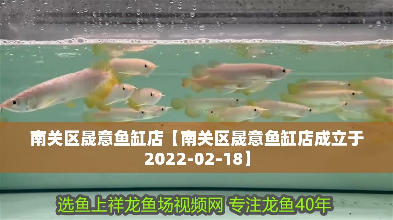 我的虎魚真菌感染了要怎么處理 南關區晟意魚缸店【南關區晟意魚缸店成立于2022-02-18】 全國水族館企業名錄 南關區晟意魚缸店【南關區晟意魚缸店成立于2022-02-18】 南關區晟意魚缸店【南關區晟意魚缸店成立于2022-02-18】 全國水族館企業名錄