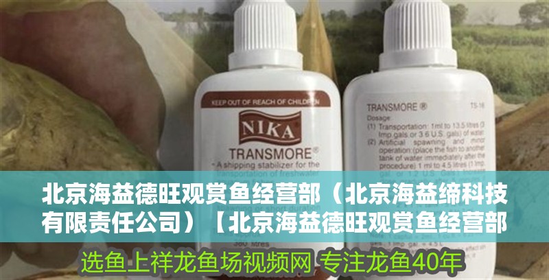 北京海益德旺觀賞魚經營部（北京海益締科技有限責任公司）【北京海益德旺觀賞魚經營部和北京海益締科技有限責任公司是什么】