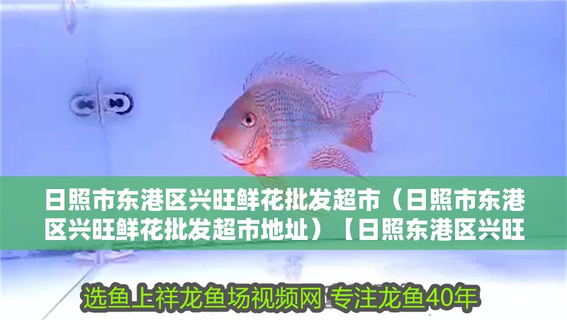 日照市東港區興旺鮮花批發超市（日照市東港區興旺鮮花批發超市地址）【日照東港區興旺鮮花批發超市】