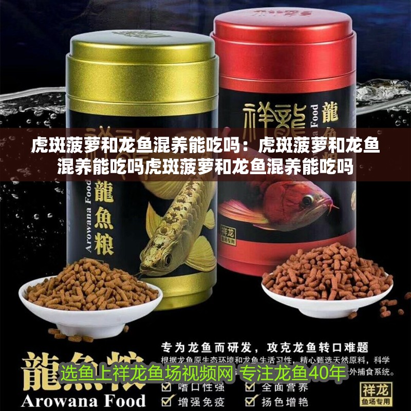 虎斑菠蘿和龍魚混養能吃嗎：虎斑菠蘿和龍魚混養能吃嗎虎斑菠蘿和龍魚混養能吃嗎