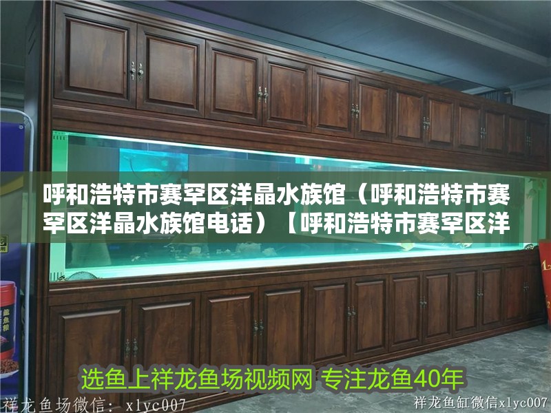 魚缸過濾器選購指南:自制魚缸過濾器魚缸上置過濾器對于養魚愛好者的必備知識 呼和浩特市賽罕區洋晶水族館(呼和浩特市賽罕區洋晶水族館電話)【呼和浩特市賽罕區洋晶水族館】 全國水族館企業名錄 呼和浩特市賽罕區洋晶水族館(呼和浩特市賽罕區洋晶水族館電話)【呼和浩特市賽罕區洋晶水族館】 呼和浩特市賽罕區洋晶水族館(呼和浩特市賽罕區洋晶水族館電話)【呼和浩特市賽罕區洋晶水族館】 全國水族館企業名錄