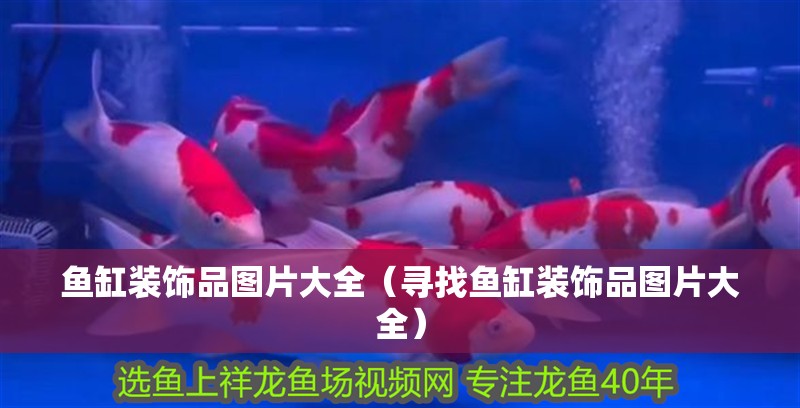 魚缸裝飾品圖片大全（尋找魚缸裝飾品圖片大全）