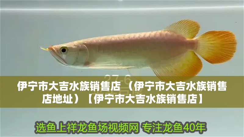 伊寧市大吉水族銷售店 （伊寧市大吉水族銷售店地址）【伊寧市大吉水族銷售店】