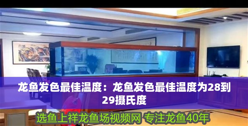 龍魚發色最佳溫度：龍魚發色最佳溫度為28到29攝氏度