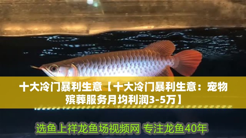 十大冷門(mén)暴利生意【十大冷門(mén)暴利生意：寵物殯葬服務(wù)月均利潤(rùn)3-5萬(wàn)】