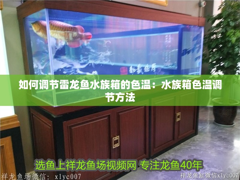 如何調節雷龍魚水族箱的色溫：水族箱色溫調節方法