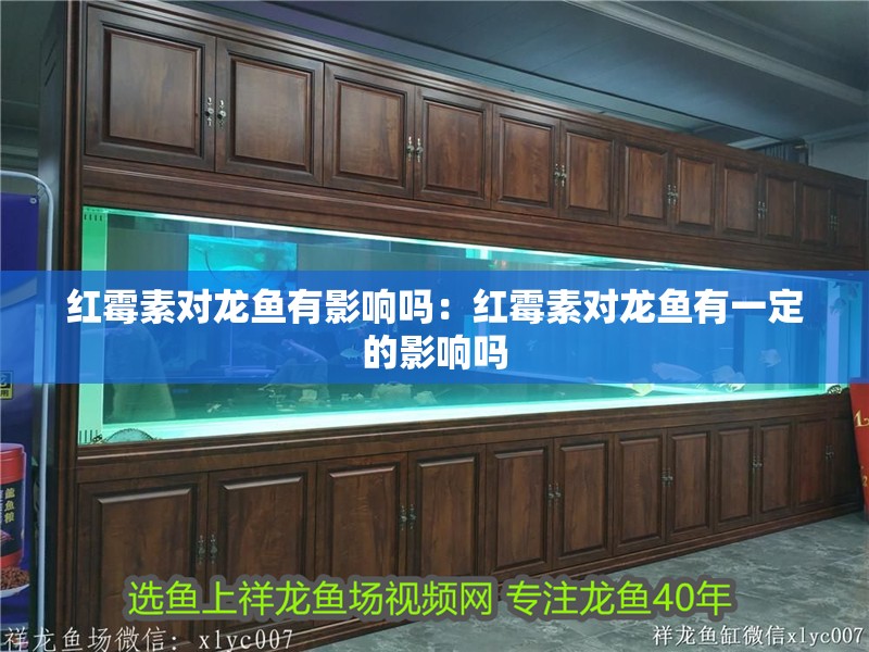 紅霉素對(duì)龍魚有影響嗎：紅霉素對(duì)龍魚有一定的影響嗎