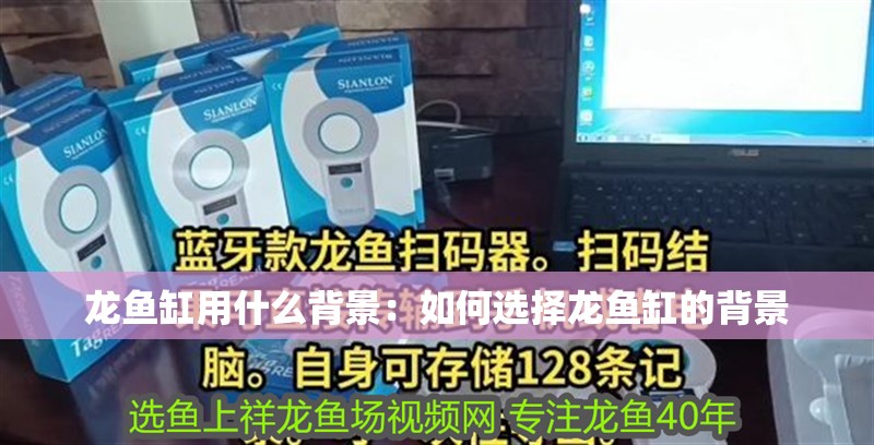 魚缸用增氧泵價格是多少:魚缸增氧機-xtrac增氧機-xtrac增氧機 龍魚缸用什么背景:如何選擇龍魚缸的背景 龍魚百科 龍魚缸用什么背景:如何選擇龍魚缸的背景 龍魚缸用什么背景:如何選擇龍魚缸的背景 龍魚百科