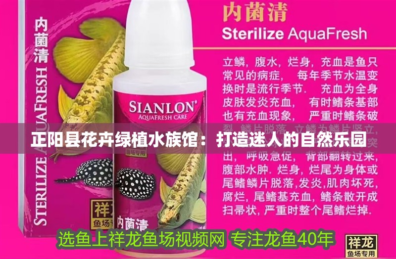 正陽縣花卉綠植水族館：打造迷人的自然樂園