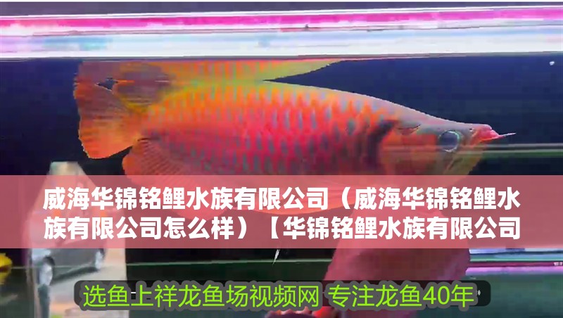 <strong><mark>威海</mark></strong>華錦銘鯉水族有限公司（<strong><mark>威海</mark></strong>華錦銘鯉水族有限公司怎么樣）【華錦銘鯉水族有限公司】