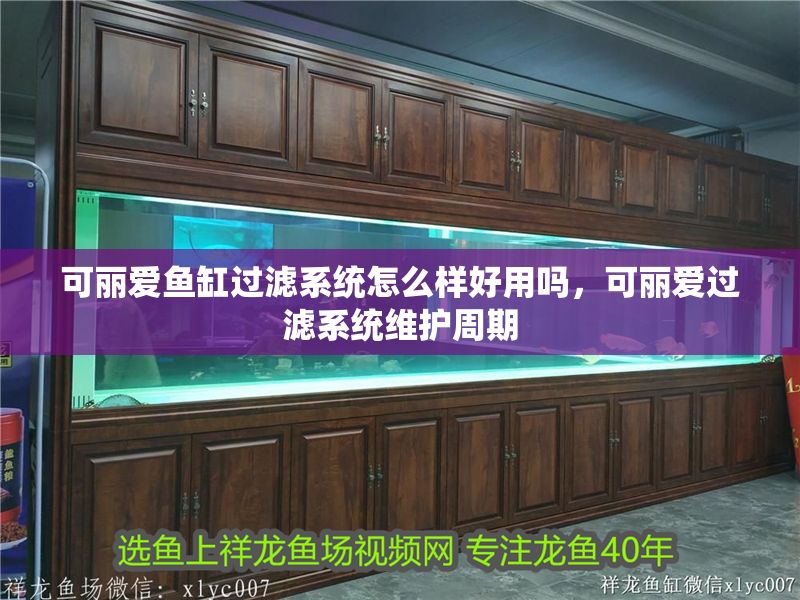 可麗愛魚缸過濾系統怎么樣好用嗎，可麗愛過濾系統維護周期