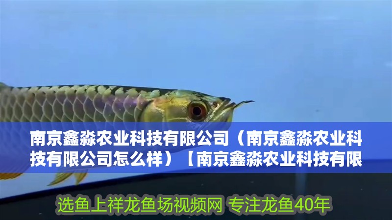 <strong><mark>南京</mark></strong>鑫淼農業科技有限公司（<strong><mark>南京</mark></strong>鑫淼農業科技有限公司怎么樣）【<strong><mark>南京</mark></strong>鑫淼農業科技有限公司的調查問卷】