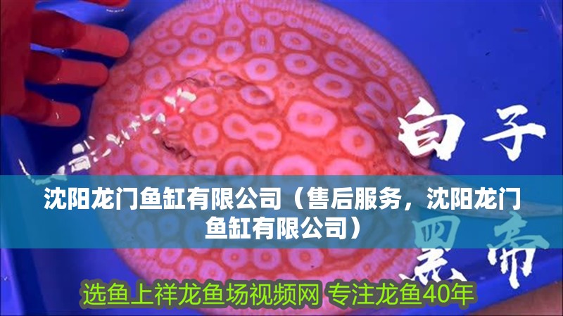 沈陽龍門魚缸有限公司（售后服務，沈陽龍門魚缸有限公司）