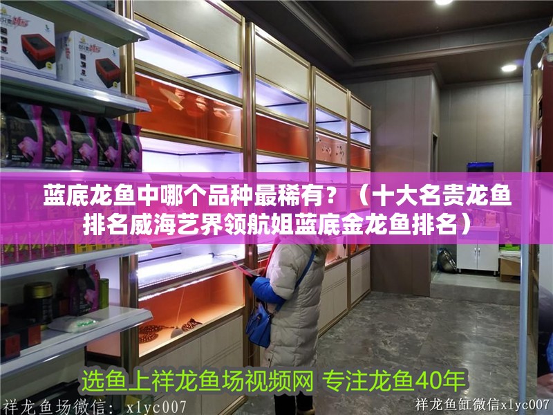 藍底龍魚中哪個品種最稀有？（十大名貴龍魚排名威海藝界領航姐藍底金龍魚排名）