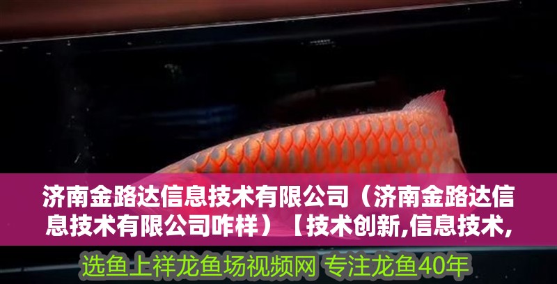 濟(jì)南金路達(dá)信息技術(shù)有限公司（濟(jì)南金路達(dá)信息技術(shù)有限公司咋樣）【技術(shù)創(chuàng)新,信息技術(shù),濟(jì)南金路達(dá)信息技術(shù)有限公司】