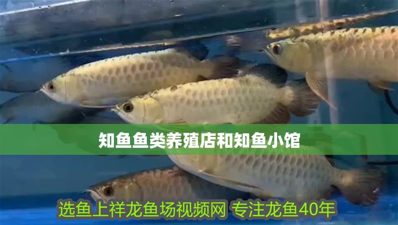 知魚魚類養(yǎng)殖店和知魚小館
