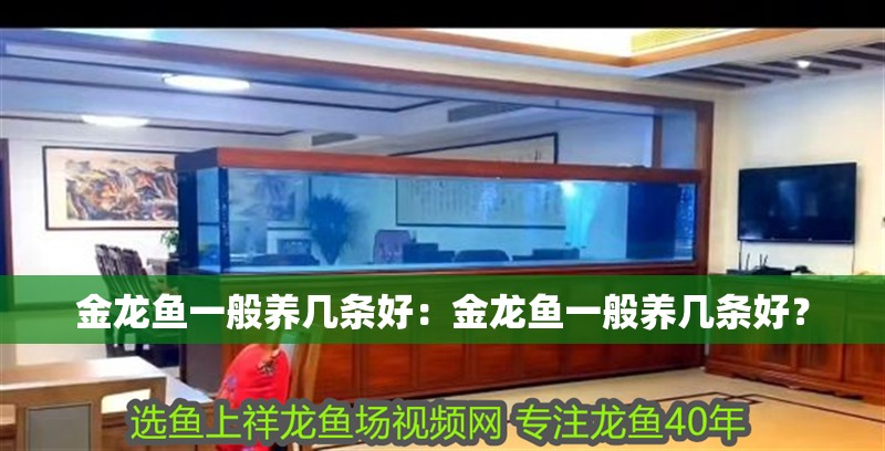 金龍魚一般養幾條好：金龍魚一般養幾條好？