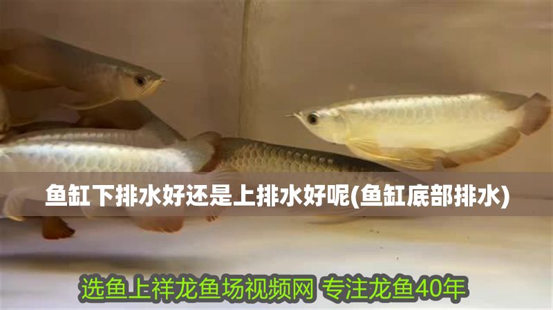 魚缸下排水好還是上排水好呢(魚缸底部排水)