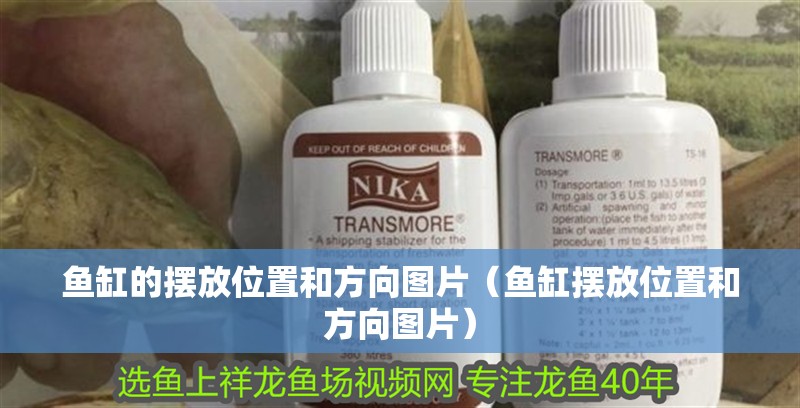 魚(yú)缸的擺放位置和方向圖片（魚(yú)缸擺放位置和方向圖片）