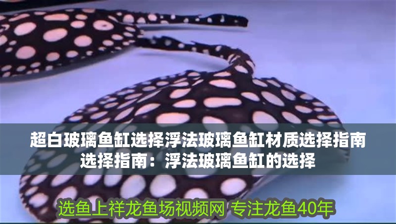 超白玻璃魚缸選擇浮法玻璃魚缸材質選擇指南選擇指南：浮法玻璃魚缸的選擇
