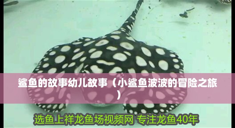 鯊魚的故事幼兒故事（小鯊魚波波的冒險之旅）