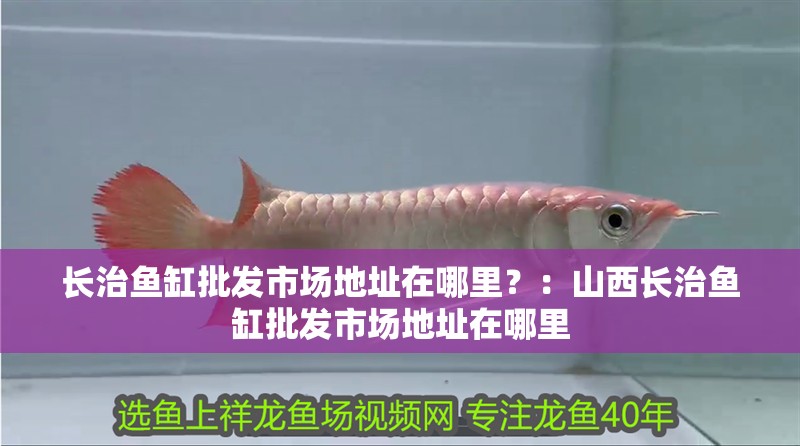 長治魚缸批發市場地址在哪里？：山西長治魚缸批發市場地址在哪里 長治魚缸批發市場地址在哪里？：山西長治魚缸批發市場地址在哪里 魚缸百科