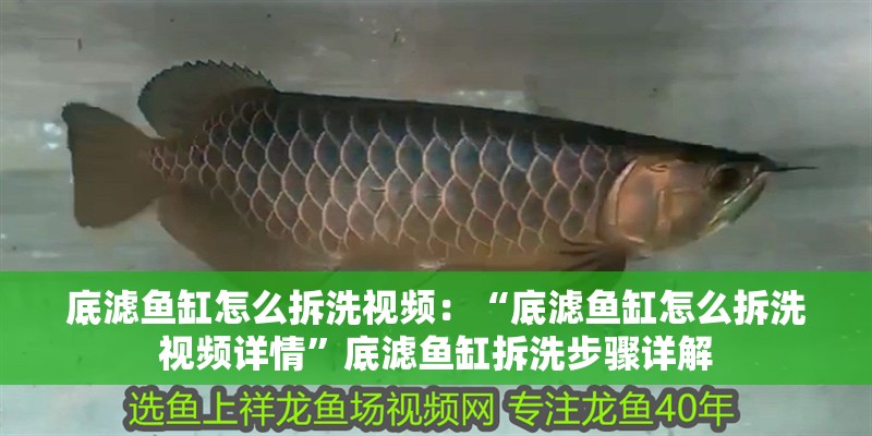 底濾魚缸怎么拆洗視頻：“底濾魚缸怎么拆洗視頻詳情”底濾魚缸拆洗步驟詳解 底濾魚缸怎么拆洗視頻：“底濾魚缸怎么拆洗視頻詳情”底濾魚缸拆洗步驟詳解 魚缸百科