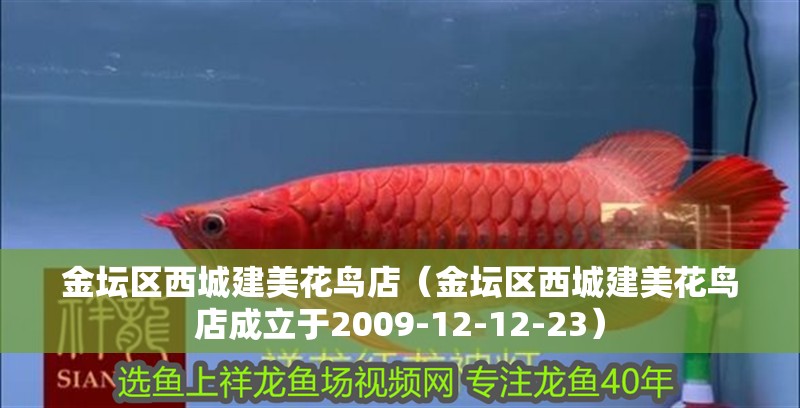 金壇區西城建美花鳥店（金壇區西城建美花鳥店成立于2009-12-12-23）
