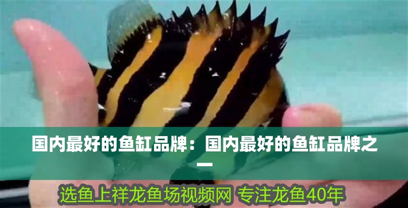 國內最好的魚缸品牌：國內最好的魚缸品牌之一 國內最好的魚缸品牌：國內最好的魚缸品牌之一 魚缸百科