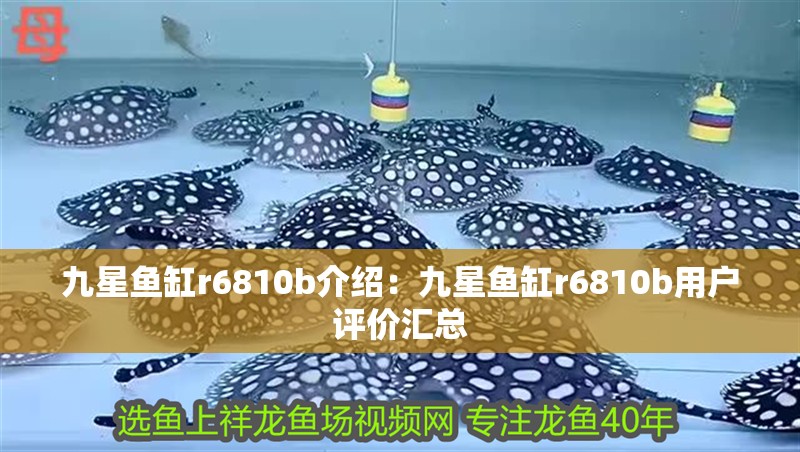 九星魚(yú)缸r6810b介紹：九星魚(yú)缸r6810b用戶評(píng)價(jià)匯總 九星魚(yú)缸r6810b介紹：九星魚(yú)缸r6810b用戶評(píng)價(jià)匯總 魚(yú)缸百科