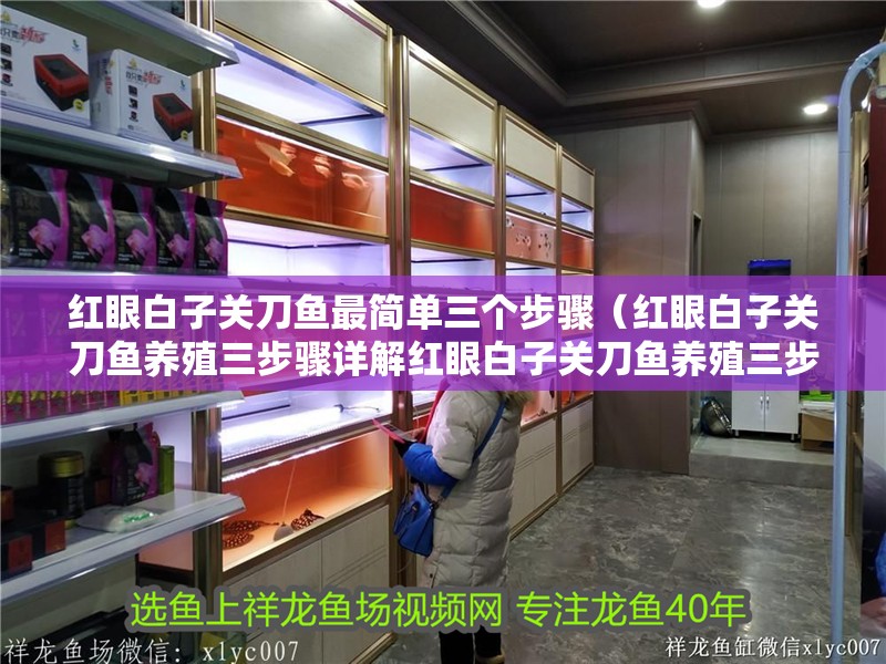 紅眼白子關刀魚最簡單三個步驟（紅眼白子關刀魚養殖三步驟詳解紅眼白子關刀魚養殖三步驟） 紅眼白子關刀魚最簡單三個步驟（紅眼白子關刀魚養殖三步驟詳解紅眼白子關刀魚養殖三步驟） 龍魚論壇