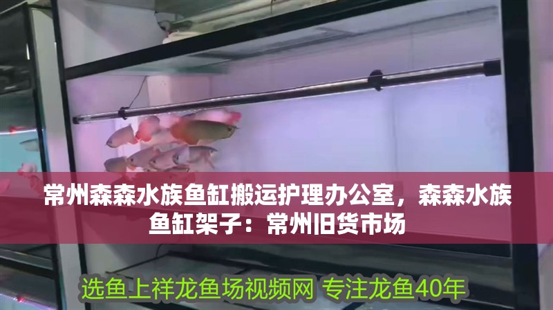 常州森森水族魚缸搬運護理辦公室，森森水族魚缸架子：常州舊貨市場