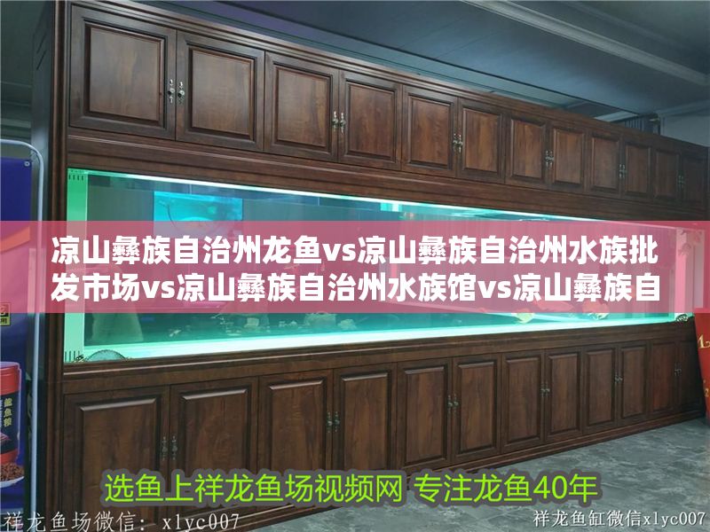 涼山彝族自治州龍魚vs涼山彝族自治州水族批發市場vs涼山彝族自治州水族館vs涼山彝族自治州魚缸批發市場vs祥龍魚場：涼山彝族自治州水族市場分布,祥龍魚場特色魚類介紹