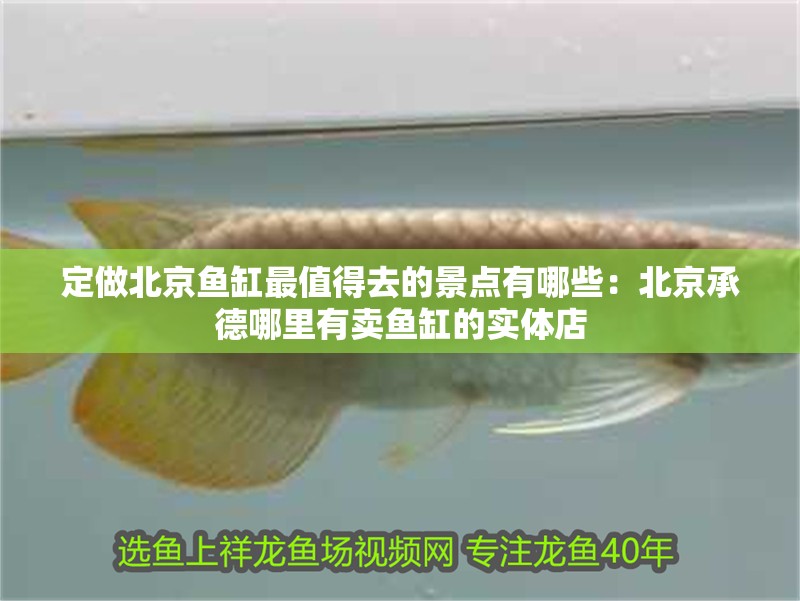 定做北京魚缸最值得去的景點有哪些：北京<strong><mark>承德</mark></strong>哪里有賣魚缸的實體店