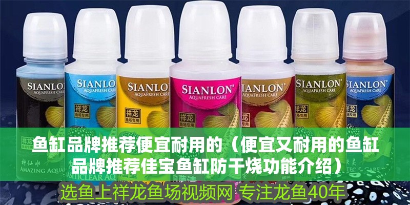 魚缸品牌推薦便宜耐用的（便宜又耐用的魚缸品牌推薦佳寶魚缸防干燒功能介紹） 魚缸品牌推薦便宜耐用的（便宜又耐用的魚缸品牌推薦佳寶魚缸防干燒功能介紹） 魚缸百科