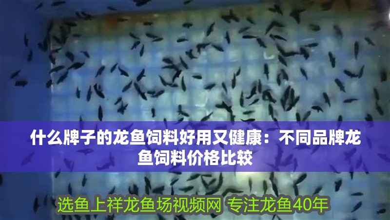 魚缸過濾器選購指南:自制魚缸過濾器魚缸上置過濾器對于養魚愛好者的必備知識 什么牌子的龍魚飼料好用又健康:不同品牌龍魚飼料價格比較 龍魚百科 什么牌子的龍魚飼料好用又健康:不同品牌龍魚飼料價格比較 什么牌子的龍魚飼料好用又健康:不同品牌龍魚飼料價格比較 龍魚百科
