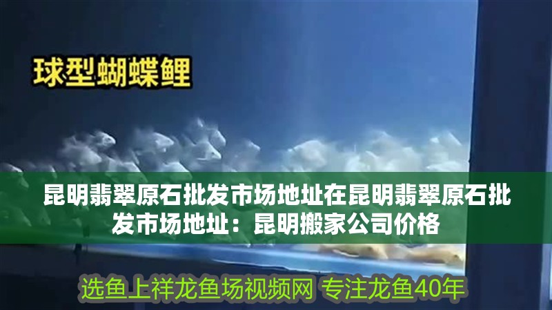 <strong><mark>昆明</mark></strong>翡翠原石批發市場地址在<strong><mark>昆明</mark></strong>翡翠原石批發市場地址：<strong><mark>昆明</mark></strong>搬家公司價格