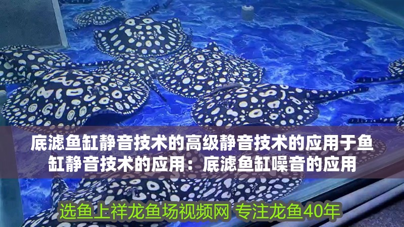 底濾魚缸靜音技術的高級靜音技術的應用于魚缸靜音技術的應用：底濾魚缸噪音的應用